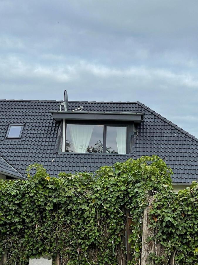 Uhse Wohlfuehloase Lägenhet Heide  Exteriör bild